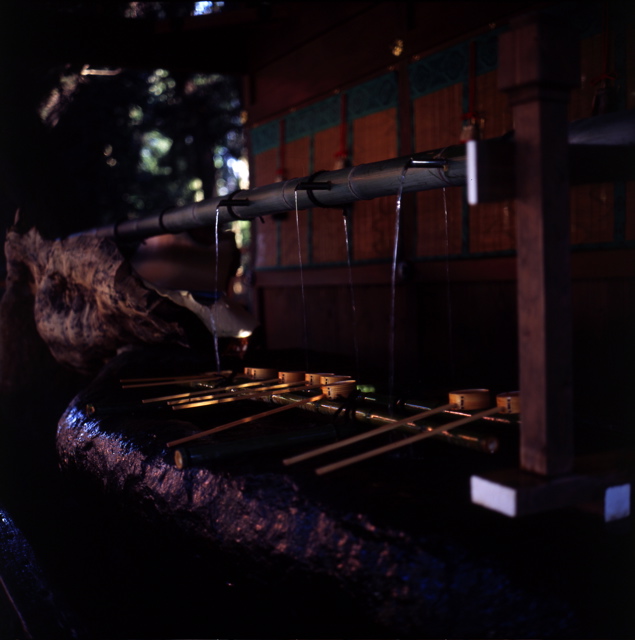 下鴨神社の御手洗