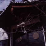 祈願・・