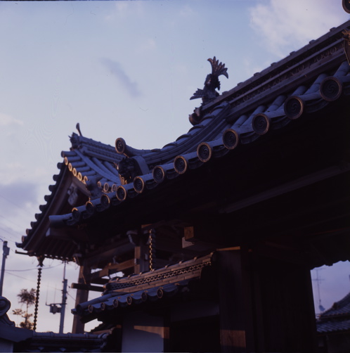門