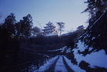 郡上八幡城