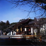 下鴨神社