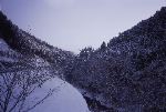 千種高原1