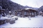 千種高原2